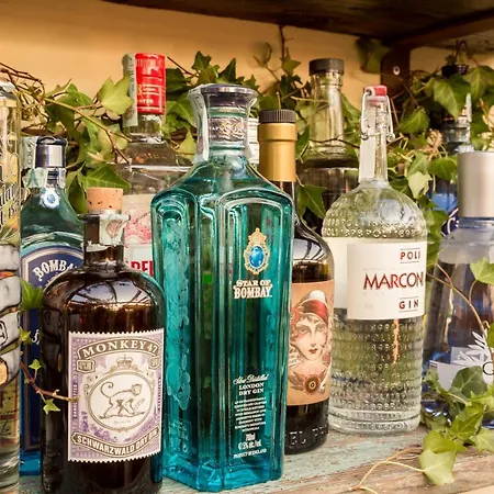 酒店 大都会酒店 4*